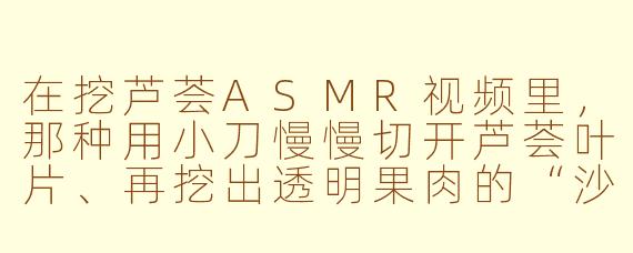在挖芦荟ASMR视频里,那种用小刀慢慢切开芦荟叶片、再挖出透明果肉的“沙沙”声,为什么听起来特别解压?