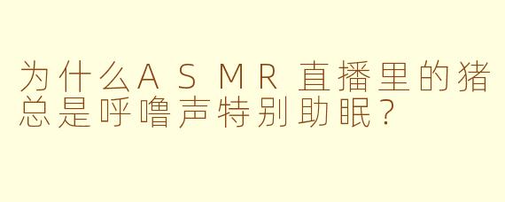 为什么ASMR直播里的猪总是呼噜声特别助眠？