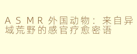 ASMR外国动物：来自异域荒野的感官疗愈密语