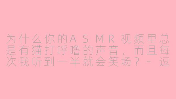 为什么你的ASMR视频里总是有猫打呼噜的声音，而且每次我听到一半就会笑场？-逗比asmr