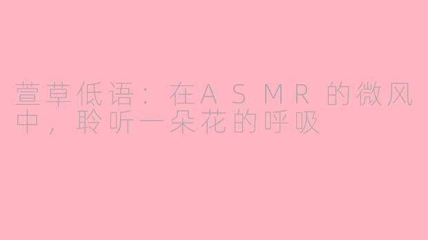 萱草低语：在ASMR的微风中，聆听一朵花的呼吸