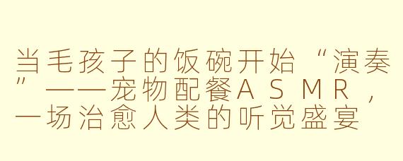 当毛孩子的饭碗开始“演奏”——宠物配餐ASMR，一场治愈人类的听觉盛宴