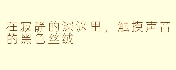 在寂静的深渊里,触摸声音的黑色丝绒