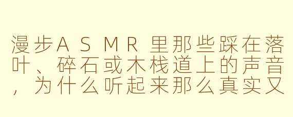 漫步ASMR里那些踩在落叶、碎石或木栈道上的声音，为什么听起来那么真实又治愈？
