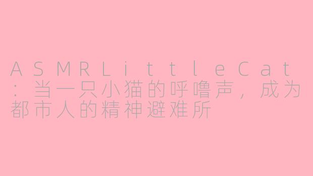 ASMRLittleCat:当一只小猫的呼噜声,成为都市人的精神避难所