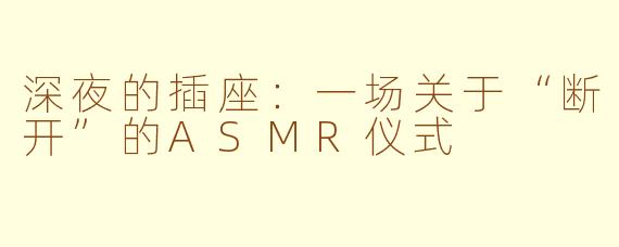 深夜的插座：一场关于“断开”的ASMR仪式