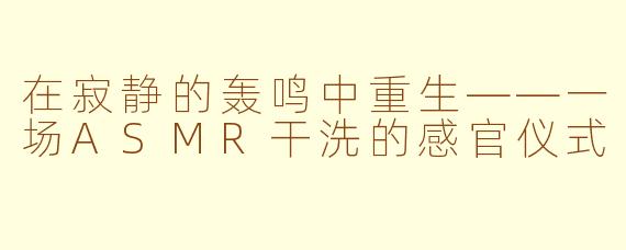 在寂静的轰鸣中重生——一场ASMR干洗的感官仪式