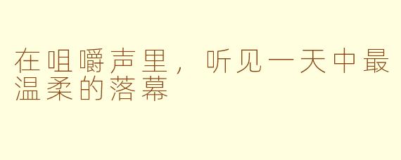 在咀嚼声里,听见一天中最温柔的落幕
