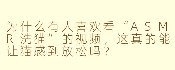 为什么有人喜欢看“ASMR洗猫”的视频,这真的能让猫感到放松吗?