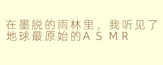 在墨脱的雨林里，我听见了地球最原始的ASMR