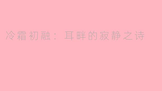 冷霜初融：耳畔的寂静之诗