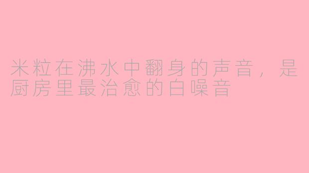 米粒在沸水中翻身的声音,是厨房里最治愈的白噪音