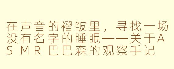 在声音的褶皱里,寻找一场没有名字的睡眠——关于ASMR巴巴森的观察手记