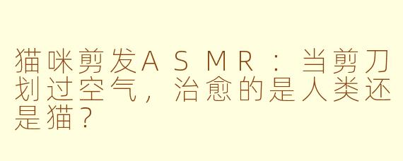 猫咪剪发ASMR:当剪刀划过空气,治愈的是人类还是猫?
