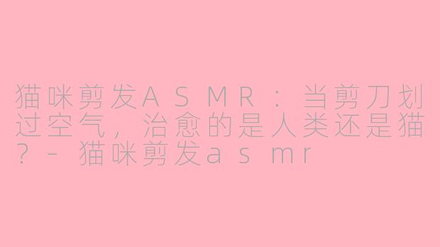 猫咪剪发ASMR:当剪刀划过空气,治愈的是人类还是猫?-猫咪剪发asmr
