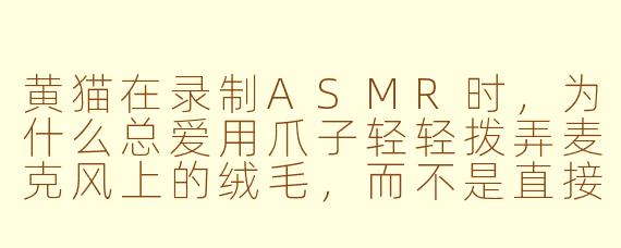 黄猫在录制ASMR时,为什么总爱用爪子轻轻拨弄麦克风上的绒毛,而不是直接舔舐收音海绵?