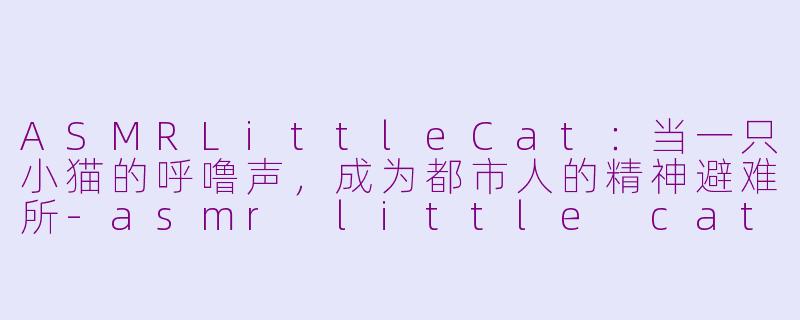 ASMRLittleCat:当一只小猫的呼噜声,成为都市人的精神避难所-asmr little cat