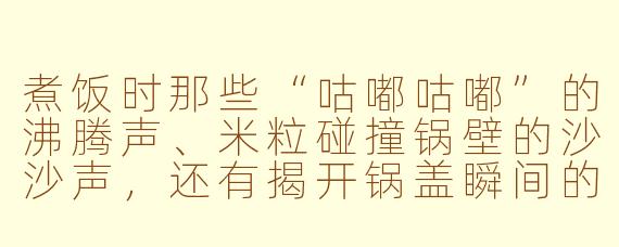 煮饭时那些“咕嘟咕嘟”的沸腾声、米粒碰撞锅壁的沙沙声，还有揭开锅盖瞬间的“轰”一声蒸汽声，为什么能让人听着特别放松？
