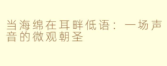 当海绵在耳畔低语:一场声音的微观朝圣