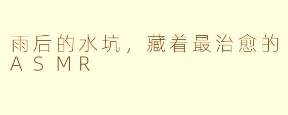 雨后的水坑,藏着最治愈的ASMR