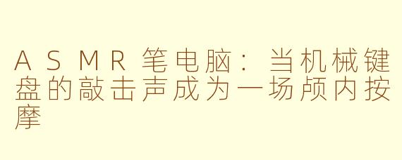 ASMR笔电脑:当机械键盘的敲击声成为一场颅内按摩