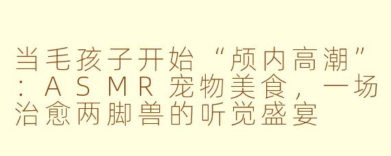 当毛孩子开始“颅内高潮”:ASMR宠物美食,一场治愈两脚兽的听觉盛宴