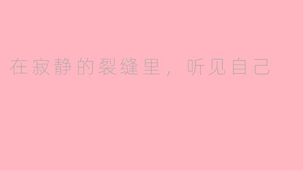 在寂静的裂缝里,听见自己