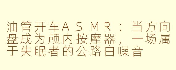 油管开车ASMR:当方向盘成为颅内按摩器,一场属于失眠者的公路白噪音