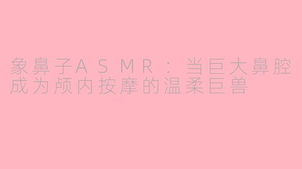 象鼻子ASMR:当巨大鼻腔成为颅内按摩的温柔巨兽