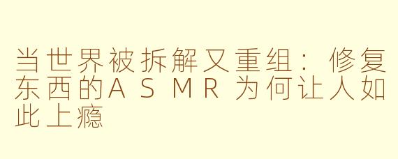 当世界被拆解又重组:修复东西的ASMR为何让人如此上瘾