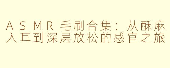 ASMR毛刷合集:从酥麻入耳到深层放松的感官之旅