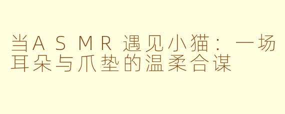 当ASMR遇见小猫：一场耳朵与爪垫的温柔合谋