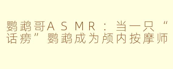 鹦鹉哥ASMR:当一只“话痨”鹦鹉成为颅内按摩师