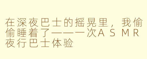 在深夜巴士的摇晃里，我偷偷睡着了——一次ASMR夜行巴士体验