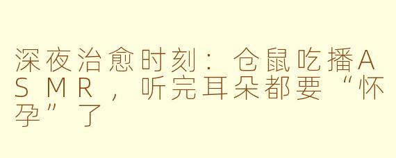 深夜治愈时刻：仓鼠吃播ASMR，听完耳朵都要“怀孕”了