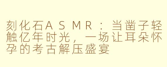 刻化石ASMR：当凿子轻触亿年时光，一场让耳朵怀孕的考古解压盛宴